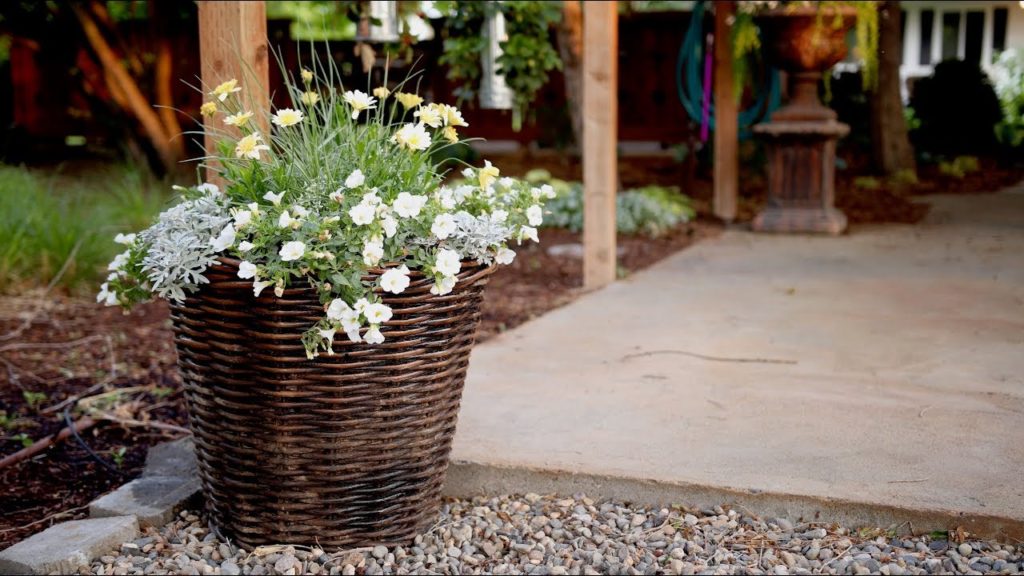 Planting a Container in Shades of White! 💚🌿// Garden Answer