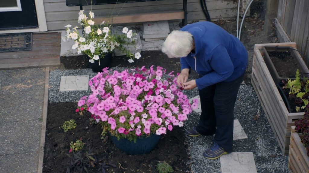 Ageless Gardens #105: "Adaptive Gardening" (Clip)