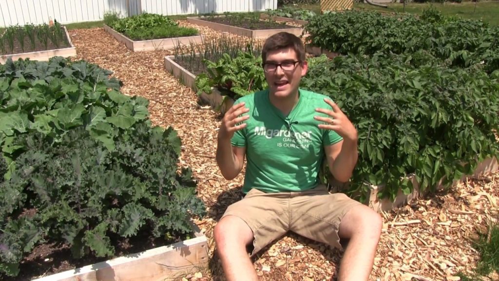 MIgardener: 5 YouTube Gardeners I Watch Regularly (U.S.A Gardeners) 5 YouTube Gardeners I Watch Regularly (U.S.A Gardeners)