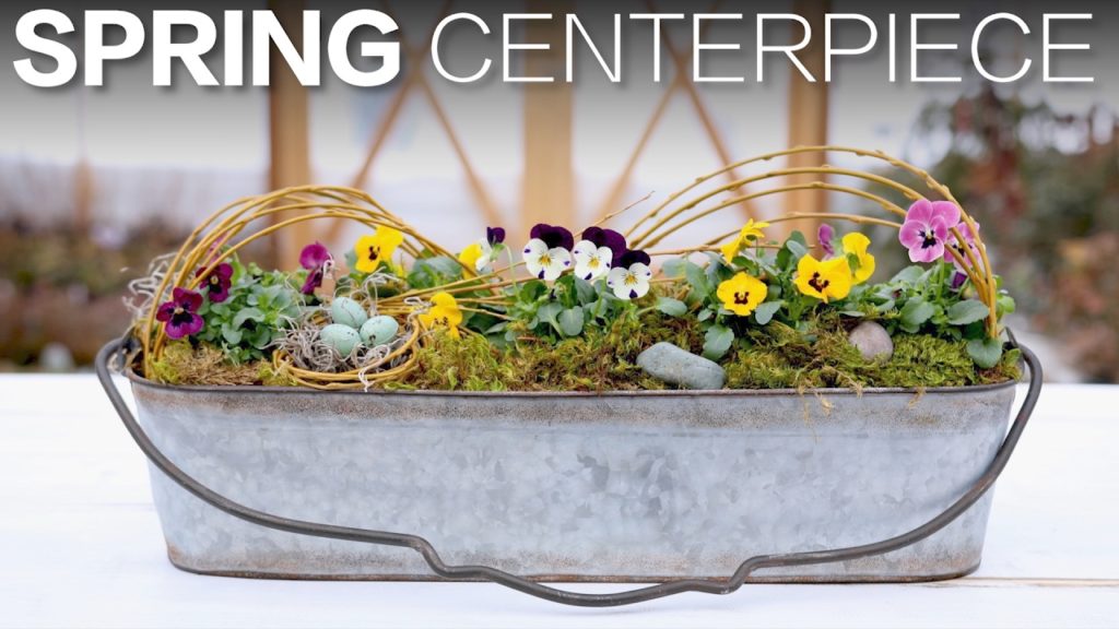 Spring Centerpiece // Garden Answer