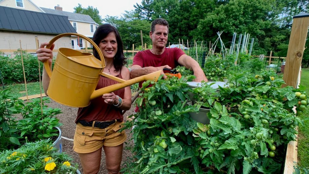 CaliKim: 🍅 LIVE: CaliKim & CameraGuy on the Road – with Gary at The Rusted Garden Homestead (REPLAY) 🍅 LIVE: CaliKim & CameraGuy on the Road - with Gary at The Rusted Garden Homestead (REPLAY)