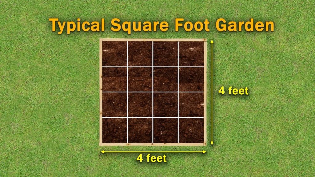Square Foot Gardening Basics – Family Plot Square Foot Gardening Basics – Family Plot