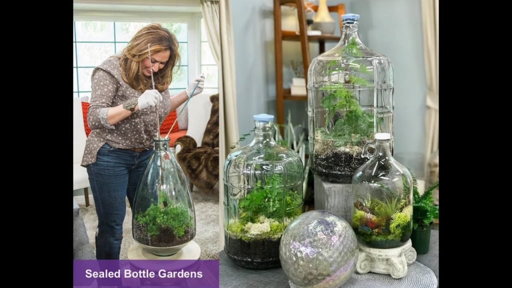 TERRARIUM :SEALED BOTTLE GARDENS: Step by Step / Shirley Bovshow TERRARIUM :SEALED BOTTLE GARDENS: Step by Step / Shirley Bovshow