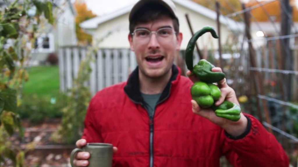 Gardening Year in Review