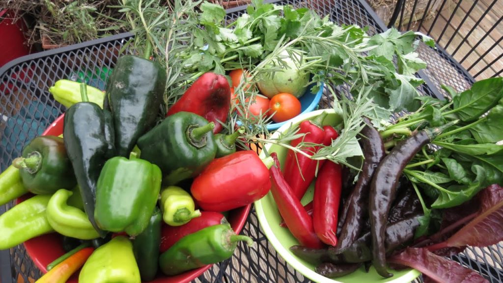 Fall Gardening: The Final Harvest, Cooking and Heating Costs 4 of 4 - TRG 2014