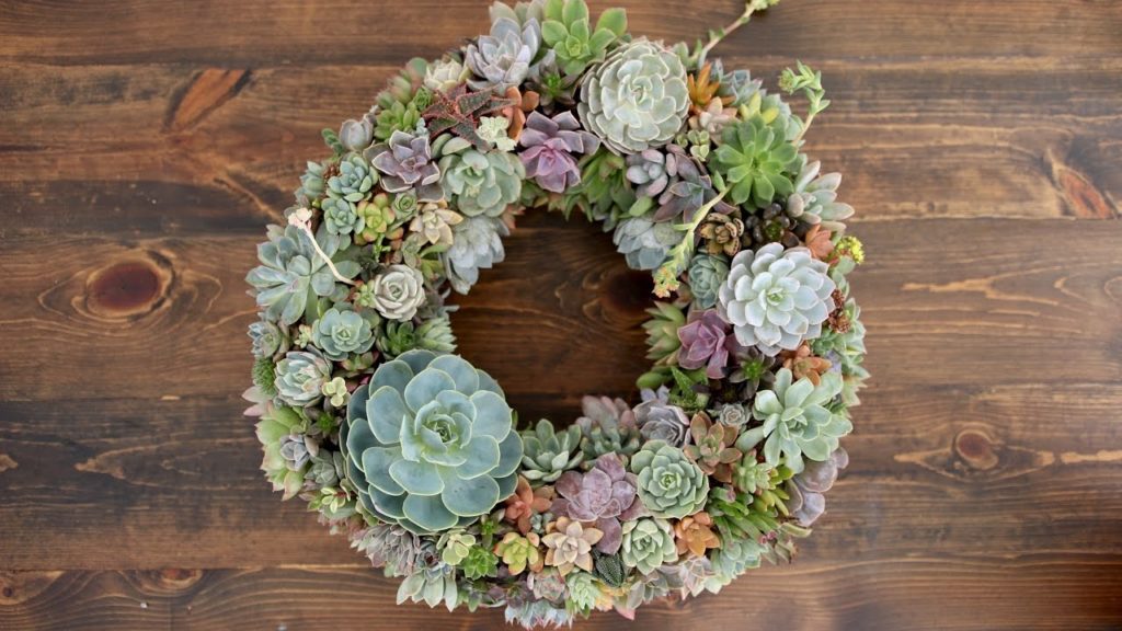 Garden Answer: Succulent Wreath // Garden Answer Succulent Wreath // Garden Answer