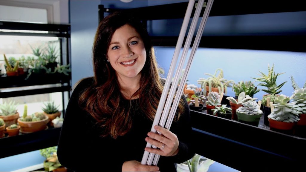 Garden Answer: Upgrading to LED Grow Lights // Garden Answer Upgrading to LED Grow Lights // Garden Answer