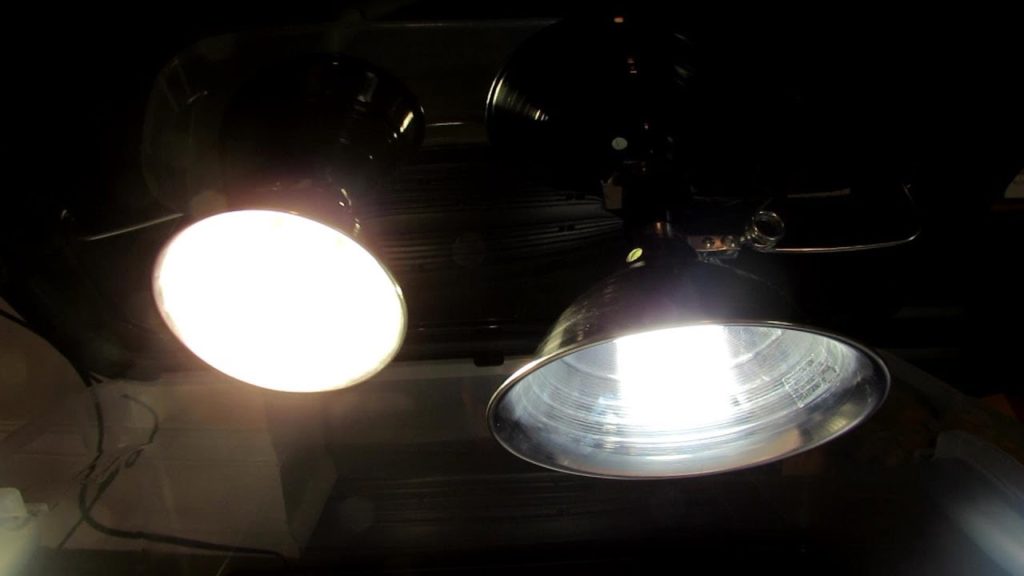 Gary Pilarchik: How to Cheaply Build A Flower & Vegetable Grow-Light Box & Acclimation Box: Indoor Seed Starting How to Cheaply Build A Flower & Vegetable Grow-Light Box & Acclimation Box: Indoor Seed Starting