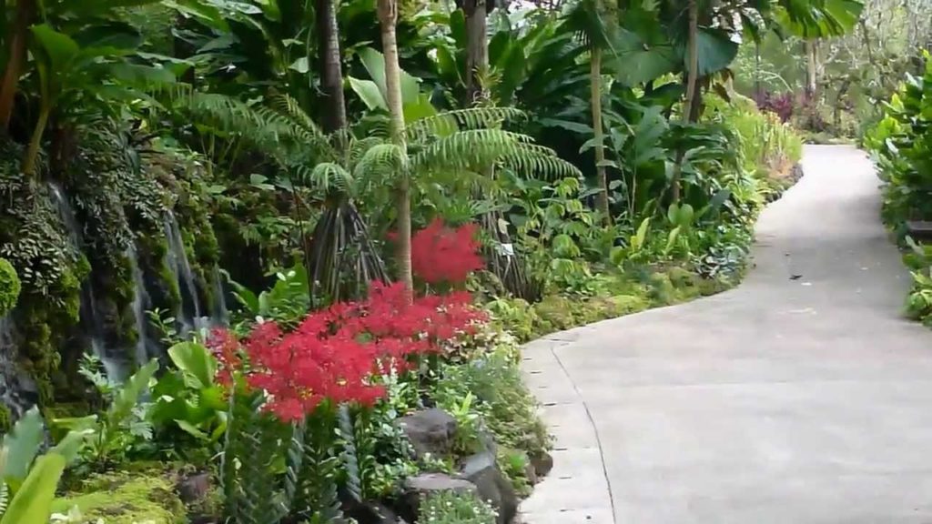 Singapore Botanic Gardens, HD Experience Singapore Botanic Gardens, HD Experience
