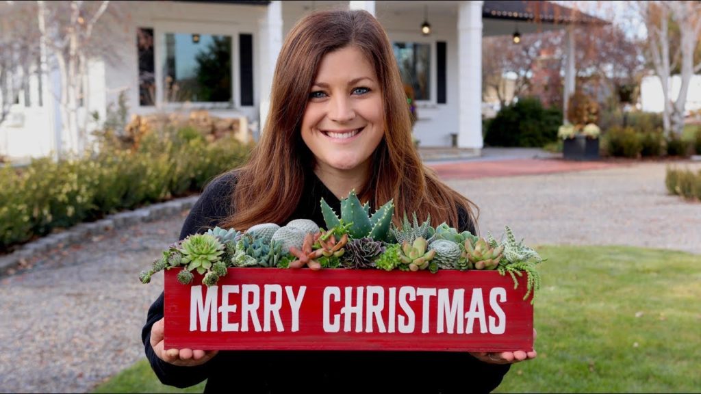 Garden Answer: Merry Christmas! 🎄❤️🌵// Garden Answer Merry Christmas! 🎄❤️🌵// Garden Answer