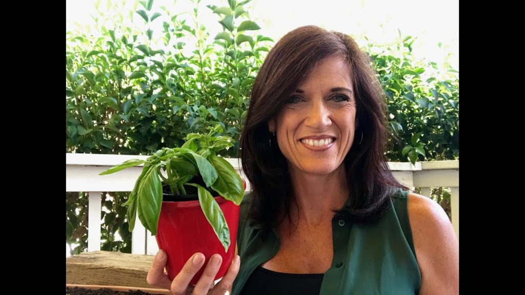 CaliKim: 🍅LIVE: Too Cold to Grow Outside? 3 Easy Veggies to Grow Indoors During Winter (REPLAY) 🍅LIVE: Too Cold to Grow Outside? 3 Easy Veggies to Grow Indoors During Winter (REPLAY)