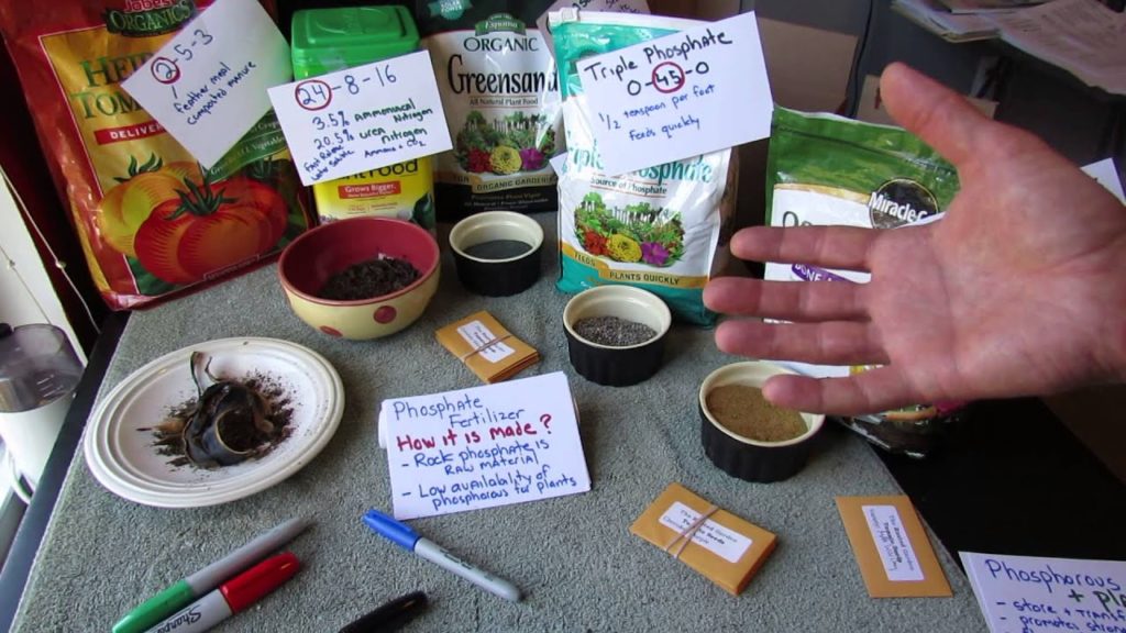 Gary Pilarchik: Vegetable Garden Fertilizers: Nitrogen (N), Phosphorous (P) & Potassium (K) – All the Details! Vegetable Garden Fertilizers: Nitrogen (N), Phosphorous (P) & Potassium (K) - All the Details!