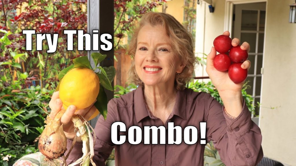 MORE PLUM RECIPES | Quinoa, Plum, and Avocado Salad | Cooking with Kaye!