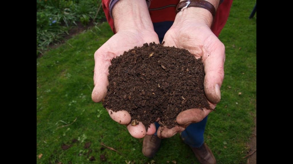 MIgardener: Why is Compost The Perfect Growing Medium? Levi Explains | S2:E8 | MIgardener Why is Compost The Perfect Growing Medium? Levi Explains | S2:E8 | MIgardener