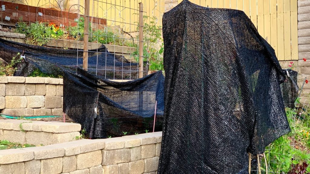 🌞Live: Tips for Keeping Your Garden Going in a Heat Wave (REPLAY)