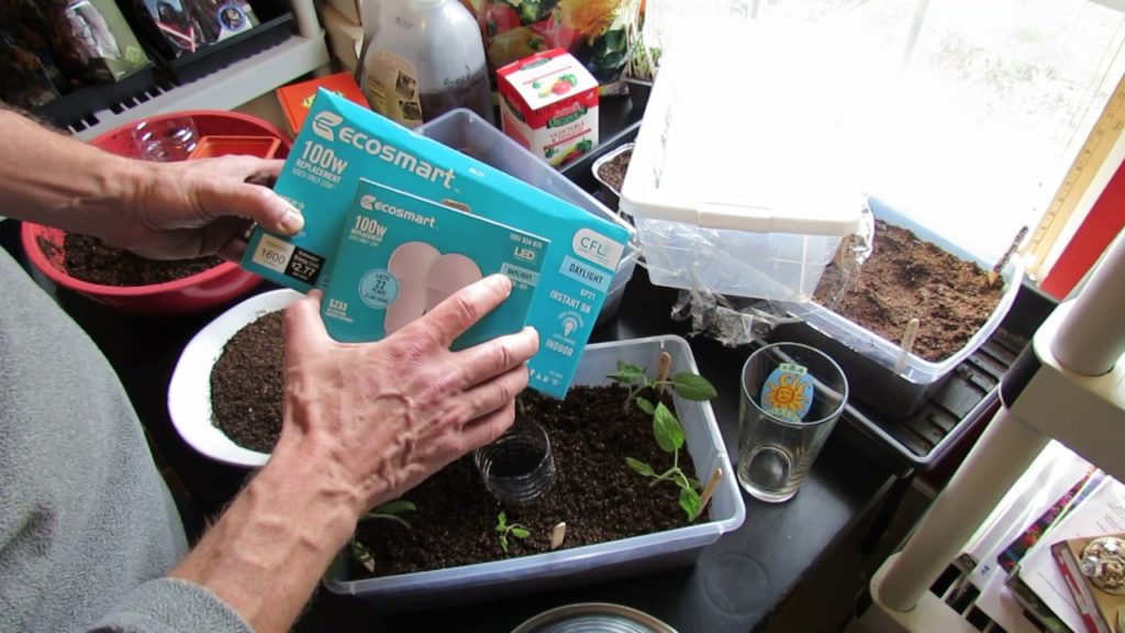 Gary Pilarchik: Starting Tomatoes/Peppers Indoors: LED/CFL Lighting, Planting, Fertilizing, Watering & Acclimation Starting Tomatoes/Peppers Indoors: LED/CFL Lighting, Planting, Fertilizing, Watering & Acclimation