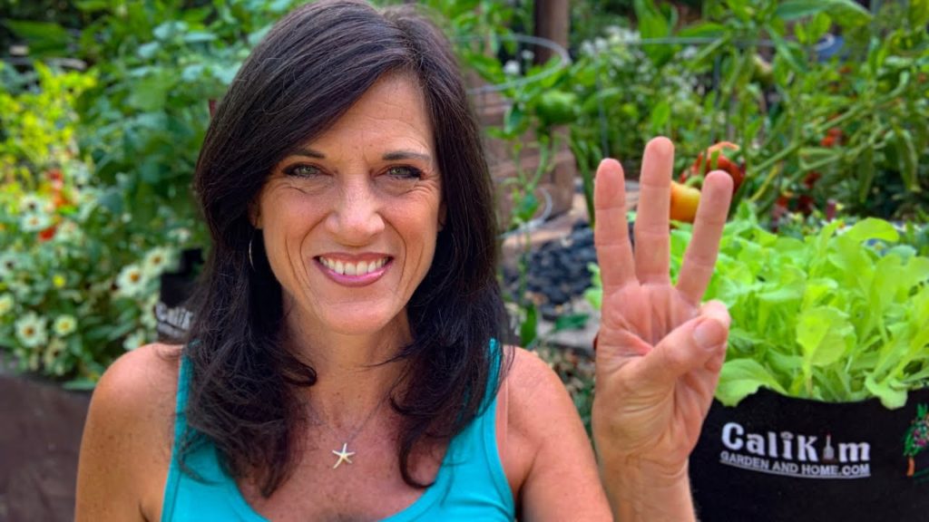 CaliKim: 🍅 LIVE: 3 Easy Crops to Grow Indoors (on a Windowsill) During Cold Weather (REPLAY) 🍅 LIVE: 3 Easy Crops to Grow Indoors (on a Windowsill) During Cold Weather (REPLAY)