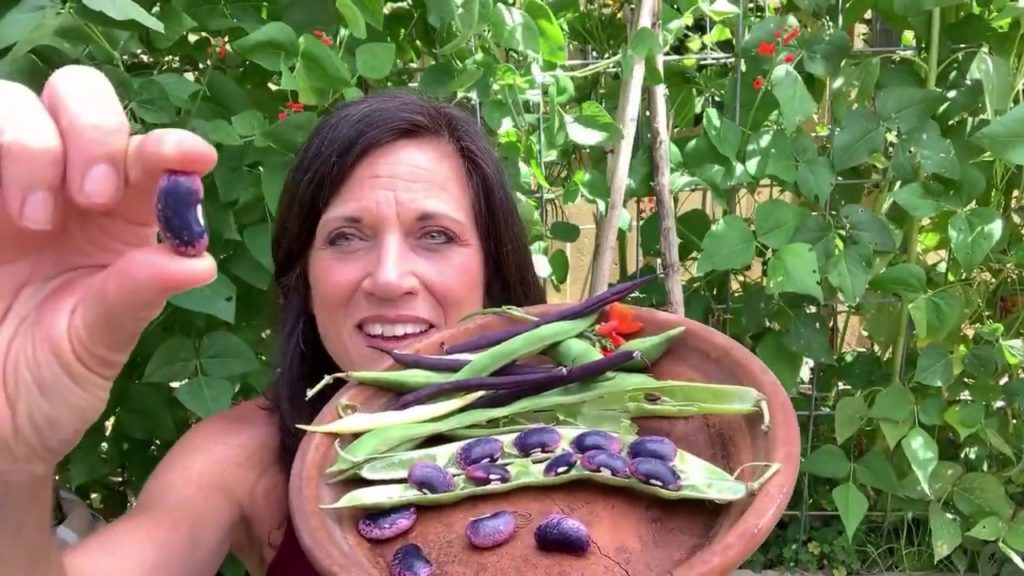 🍅 LIVE: 3 Tips to Grow LOTS of Beans, Q & A
