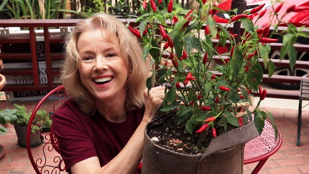 TAKING IT (Injury and Loss) LIKE A CHAMP | Garden transformation Part 10