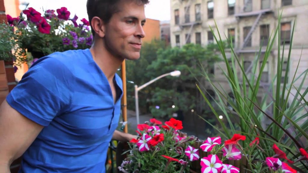 20 sq foot urban garden – Urban Gardener video 20 sq foot urban garden - Urban Gardener video