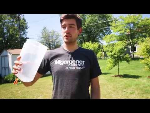 MIgardener: Don't Spend More for Organic Seeds Until You See This Don't Spend More for Organic Seeds Until You See This