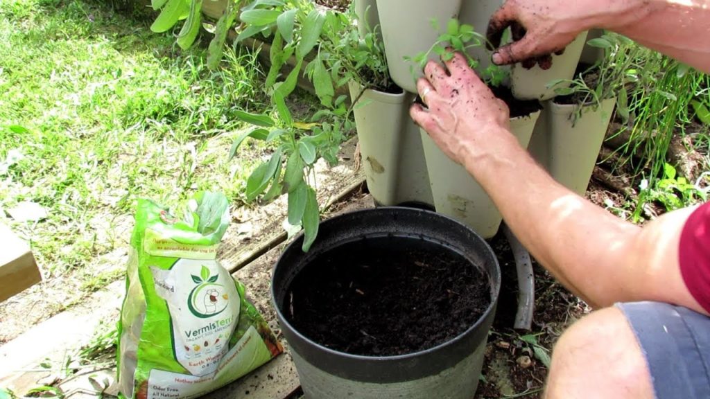 Vertical Container Vegetable Gardening: Planting Cool Weather Lettuce, Peas, Spinach & Arugula