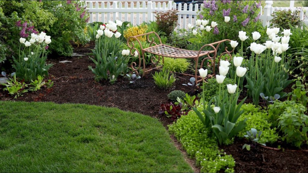 Spring Planting, Ant Control & Veggie Garden Update! 🌿👩‍🌾🐜// Garden Answer