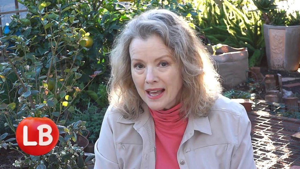 Joys & Challenges of Growing Carrots | Late Bloomer | Episode 20