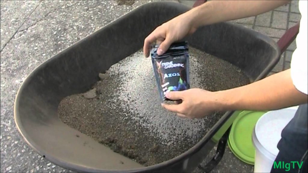 MIgardener: How to Make Organic Tomato Super Starter Fertilizer | MIgardener How to Make Organic Tomato Super Starter Fertilizer | MIgardener