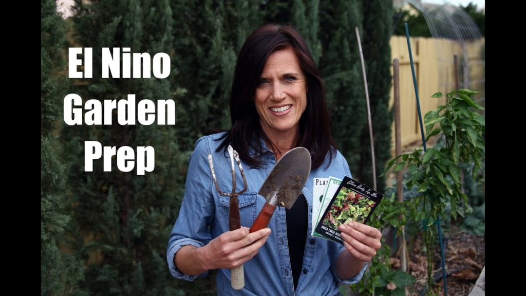 How to Prep the Garden for El Nino #1