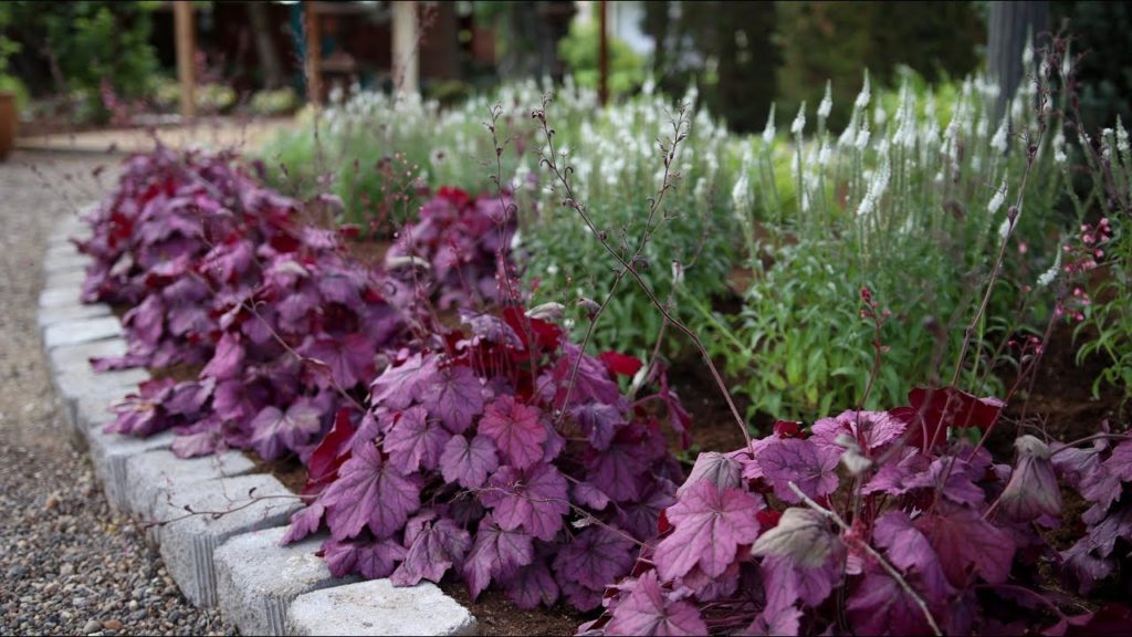 Garden Answer: Planting a New Flowerbed // Garden Answer Planting a New Flowerbed // Garden Answer