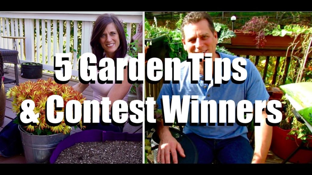 5 Garden Tips with The Rusted Garden,  Show What You Grow Instagram Contest 1 Winners & Bloopers