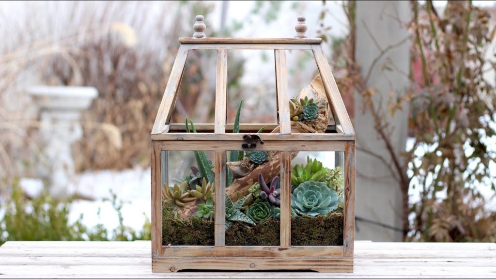 Terrarium Succulent Arrangement