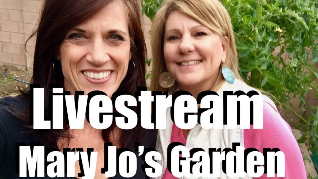 Livestream #5: Mary Jo's Garden - First-Time Gardener, Lessons Learned,  Q & A (Pre-recorded)