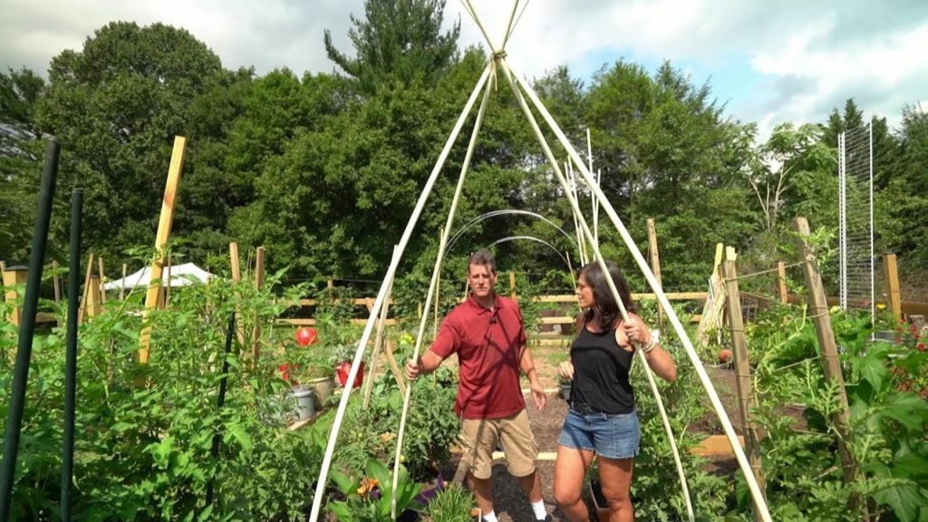 Gary Pilarchik: Vegetable Garden Trellising Options with Gary & CaliKim: Blooper Reel (at end) & Active Trellising! Vegetable Garden Trellising Options with Gary & CaliKim: Blooper Reel (at end) & Active Trellising!
