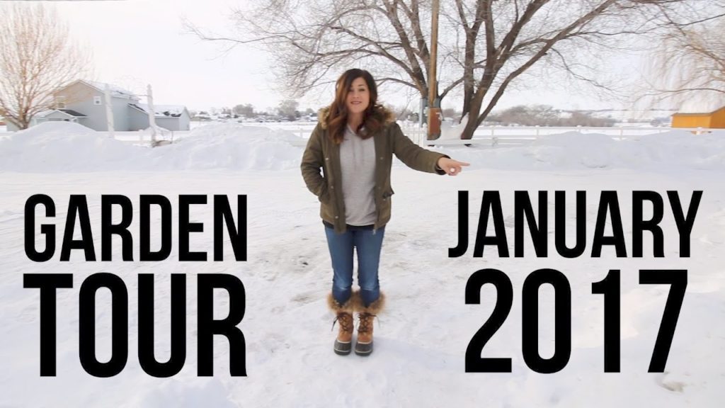 Garden Tour January 2017 // Garden Answer