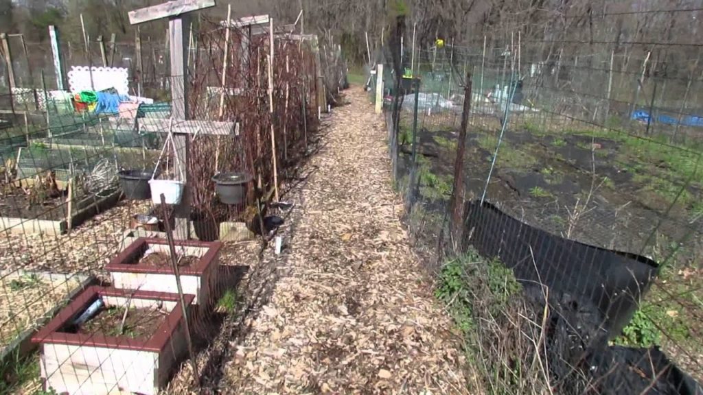 My Community Garden Plot Final Episode 12 - Clearing the Beds, Some Raised Bed Ideas & Season Recap