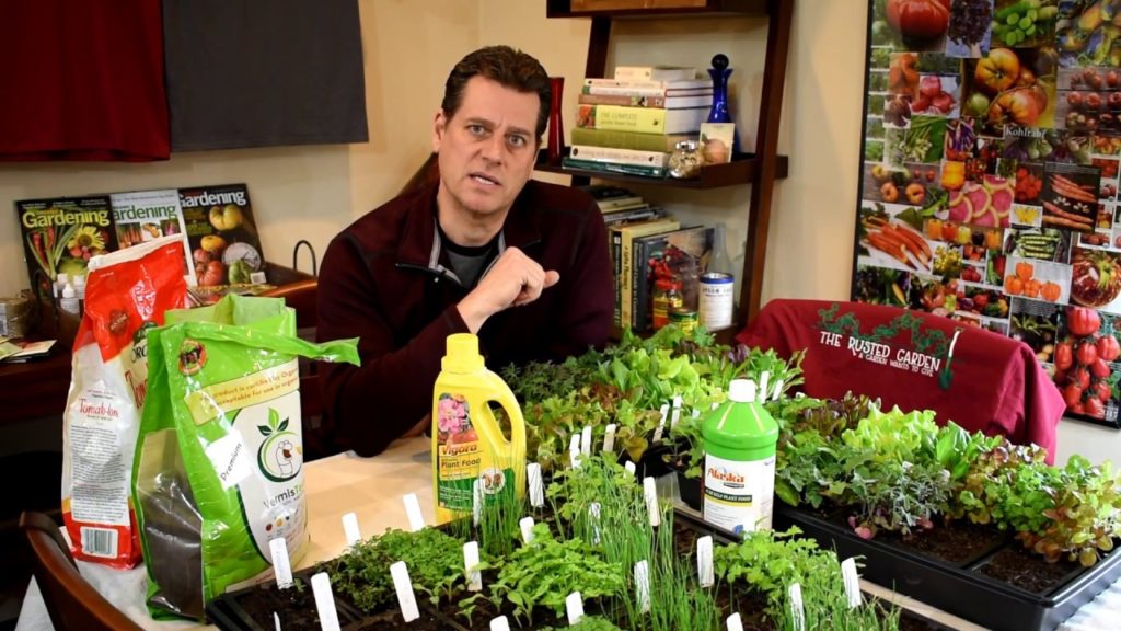 An Extensive Guide for Garden Fertilizers: Soluble, Insoluble, Macro-Nutrients, Feeding Seedlings