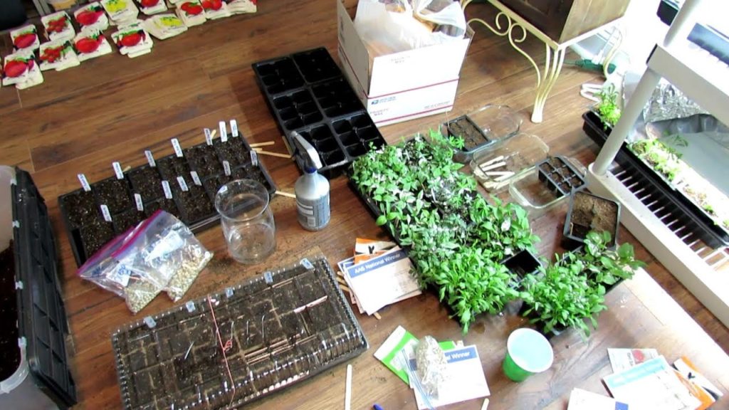 Tour 2 2019: TRG Homestead - Seed Starts, Fruit Trees,  Safe Pressure Treated Wood & Tips