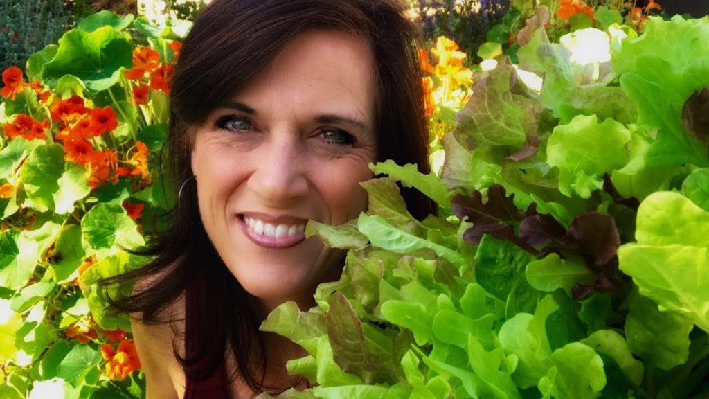 🍅 LIVE: 4 Tips to Grow Lettuce in the Heat, LIVE Q & A (REPLAY)