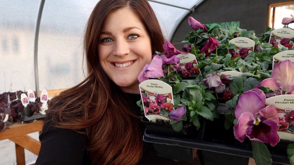 Tackling a few projects in the garden! 🌿✂️🌸👩‍🌾 // Garden Answer