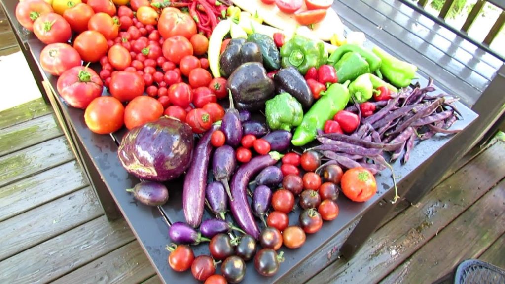 Vegetable Garden Tour & Tips 7/29/2018: Priorties, A Birdbath & Tomato Sauce Recipe