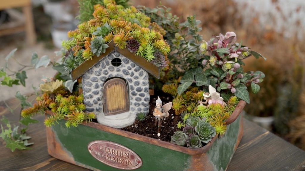Succulent Rooftop Fairy Garden // Garden Answer