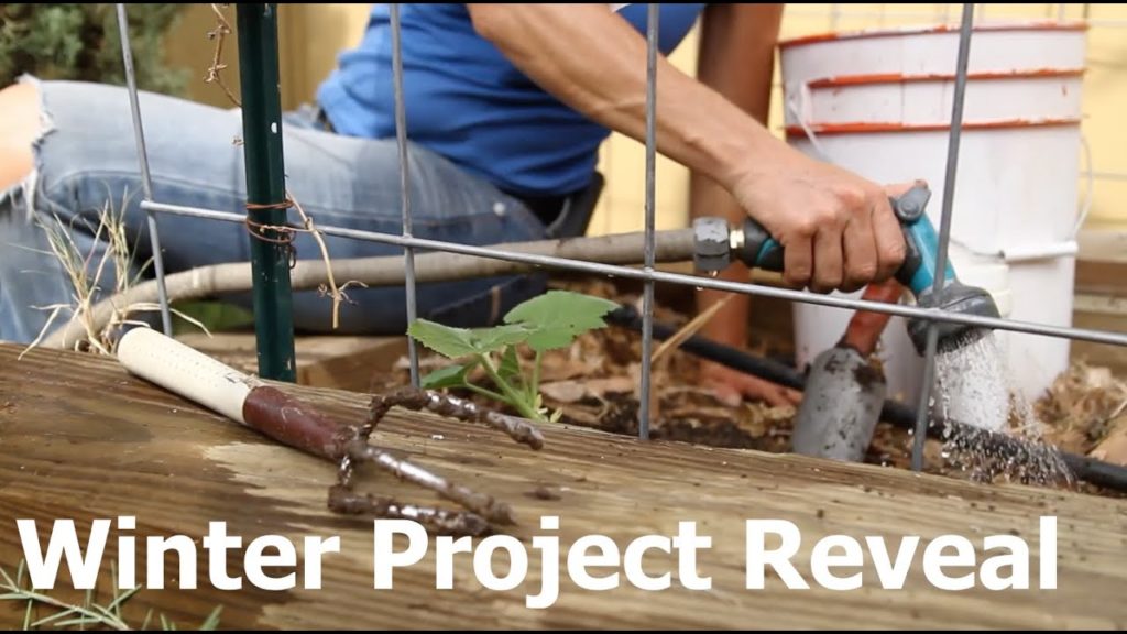 Winter Project Reveal
