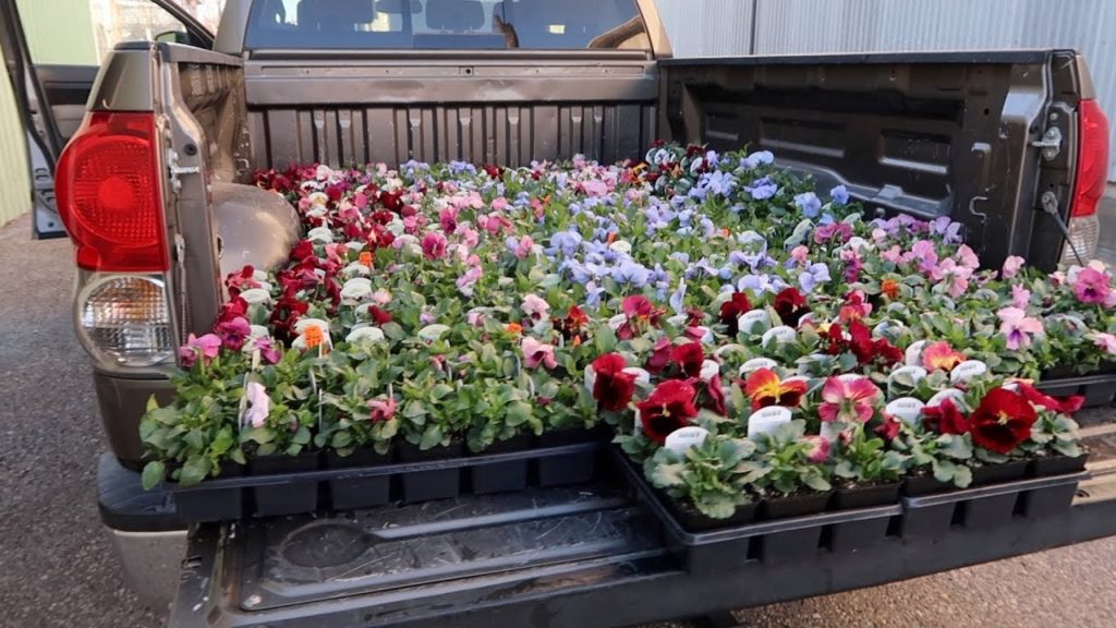 Planting Downtown Pots & Picking Up Trees! 🌸🌳// Garden Answer