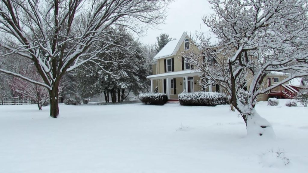 Help Me Choose Fruit Trees, Vegetables & More for My 2019 Homestead: A Snow Covered Grounds Tour
