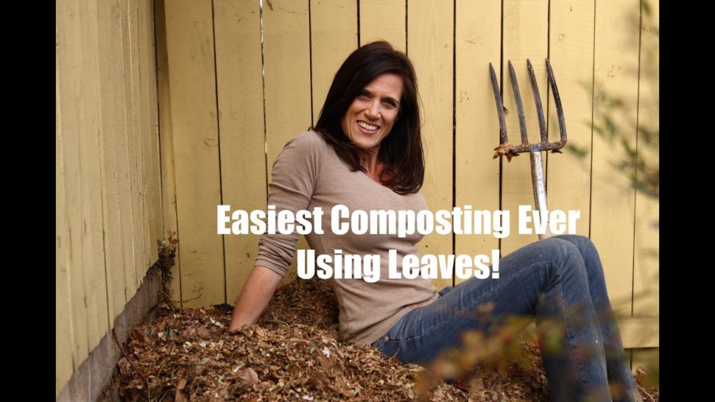CaliKim: The Easiest Composting Ever – Using Leaves! The Easiest Composting Ever - Using Leaves!