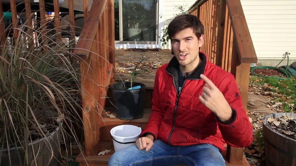 MIgardener: How to Bring Plants Indoors For Winter in 5 Simple Steps How to Bring Plants Indoors For Winter in 5 Simple Steps