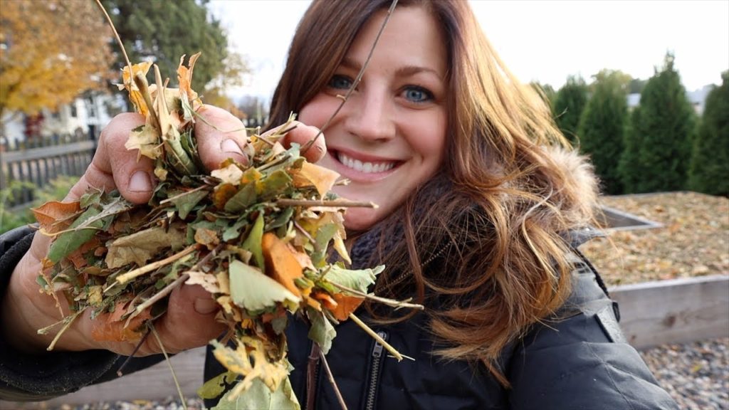 Using Leaves to Make Homemade Mulch! 🍂🍁👩‍🌾// Garden Answer