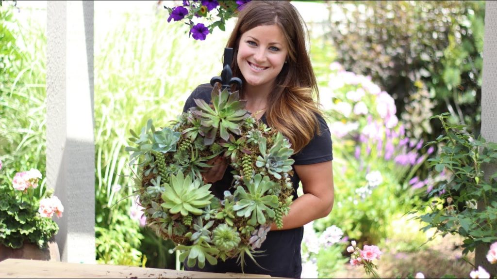Garden Answer: How to Make a Succulent Wreath How to Make a Succulent Wreath